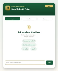 the mandinka AI tutor